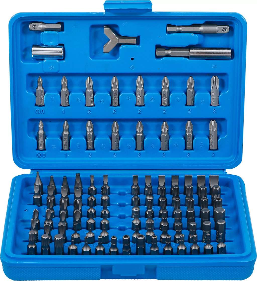 Speciální bity 1/4" BGS100765 Sada 100 dílů 