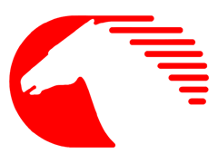 Výsledek obrázku pro logo eicher